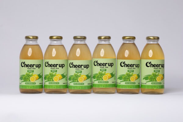 Cheer Up Mint (Pack of 6)